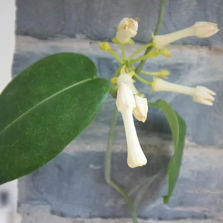 The Old Poolhouse * Beetham